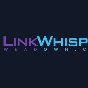 Link Whisper Pro 2.9.1 – WordPress Internal Linking Plugin