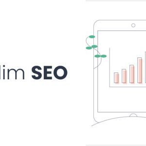 Slim SEO Pro 1.9.6 + Schema 2.7.1 – Advanced SEO Made Simple