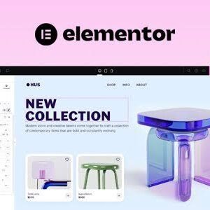 Elementor Pro