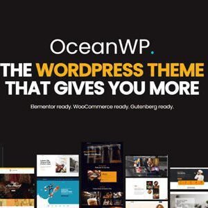 OceanWP 4.1.6 + Premium Extensions
