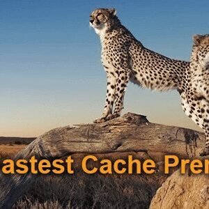 WP Fastest Cache Premium 1.7.7 – WordPress Plugin