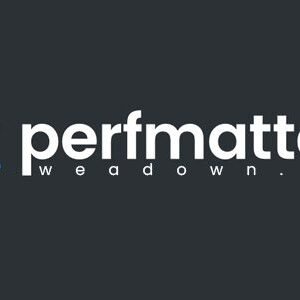 Perfmatters 2.6.4 – Lightweight WordPress Performance Plugin